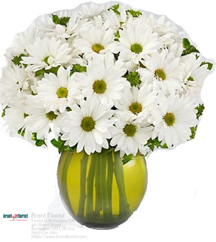 Florist Burlington